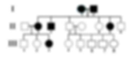 Assume this pedigree shows another Dalmatian family. Which cross shows a result that-example-1