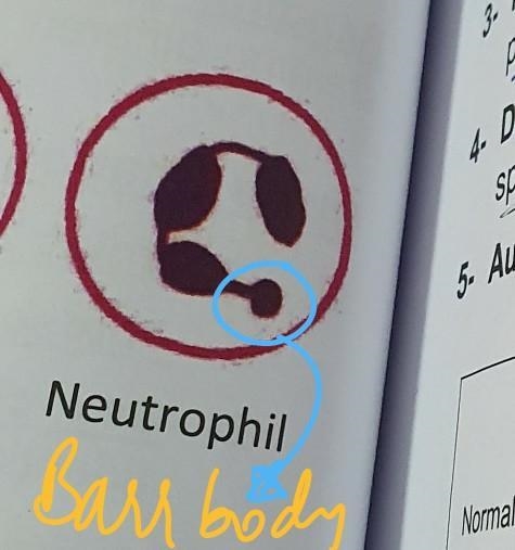 Need help with biology-example-1