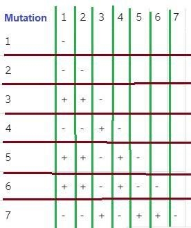 To determine whether the mutations in the seven strains leading to the wingless phenotype-example-1