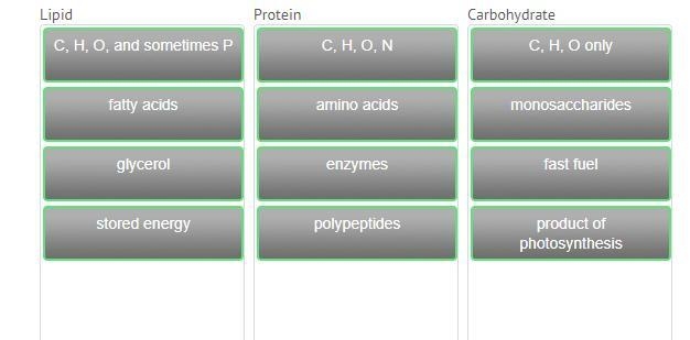 Lipids ae made of C H O, C H O N-example-1