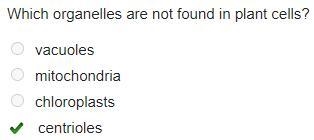 Which organelles are not found in plant cells? vacuoles mitochondria chloroplasts-example-1