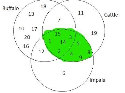 Which two animals have the most overlap in their diets-example-2