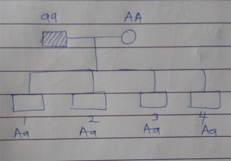 Individual 1 has an affected father, but the genotypes and phenotypes of individuals-example-1