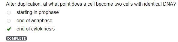 After duplication, at what point does a cell become two cells with identical DNA? starting-example-1