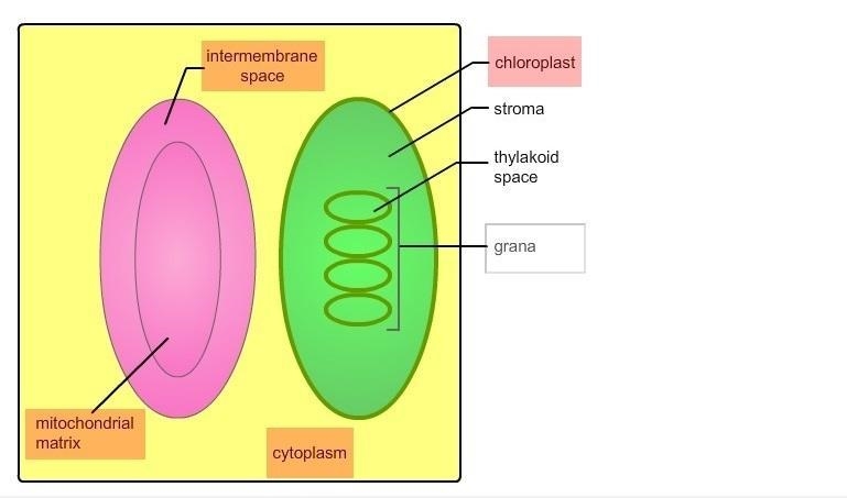 Select all the correct labels on the image. The diagram is a representation of part-example-1