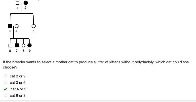 Polydactyl, having extra fingers or toes, is an autosomal dominant disorder that occurs-example-1