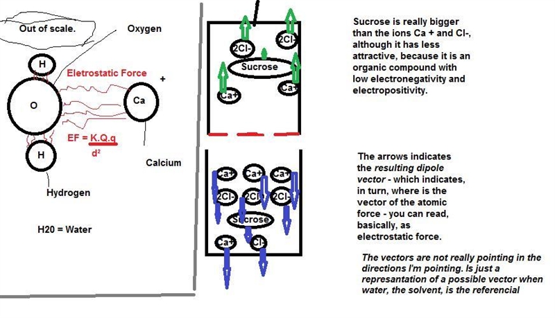 A semipermeable tube containing 4% Cacı, 9% sucrose, and 10% ovalbumin is suspended-example-1