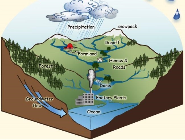 What parts of the environment, natural and manmade, make up a watershed?-example-1