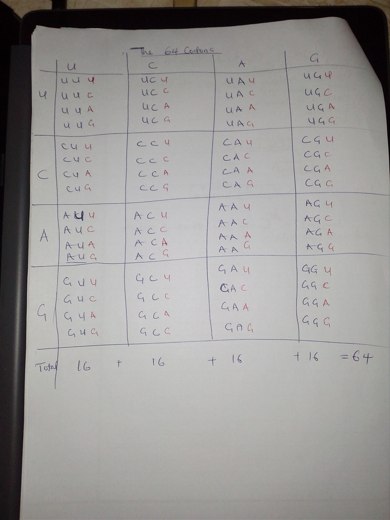 There are three nucleotides in each codon, and each of these nucleotides can have-example-1