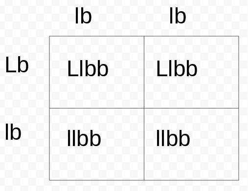 If a cat with long black hair (Llbb) is crossed with a cat with short hair (llbb). What-example-1