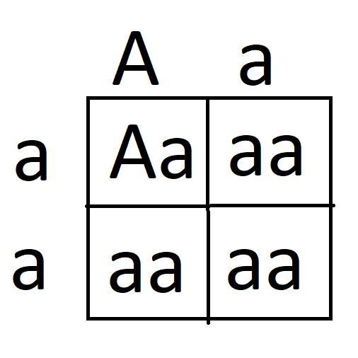 Help anyone explain why please !-example-1