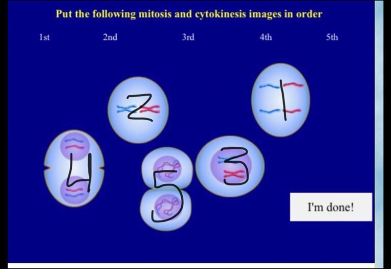 What’s the correct order?-example-1