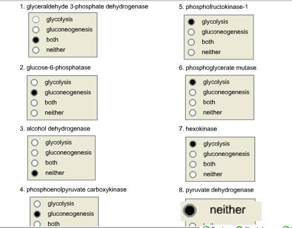 In the Cori cycle, when glucose is degraded by glycolysis to lactate in muscle, the-example-2