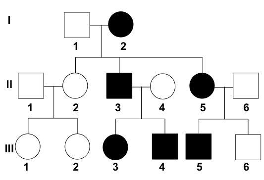 What indicates the biological sex of each individual on the pedigree?-example-1