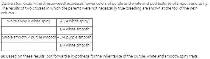 Based on these results, you put forward a hypothesis for the inheritance of the purple-example-1