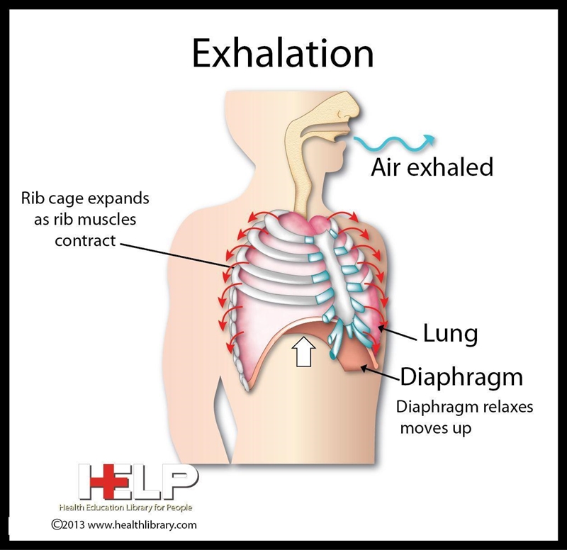 Diagram of exhalations-example-1