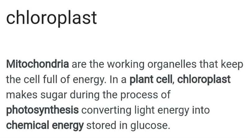 Which organelle is responsible for converting light energy into sugar?-example-1