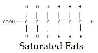 Differentiate betweenthe structures of saturated and unsaturated fatty acids withthe-example-1