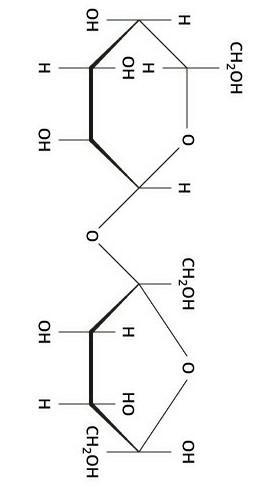 Atomic structure of carbohydrates-example-1