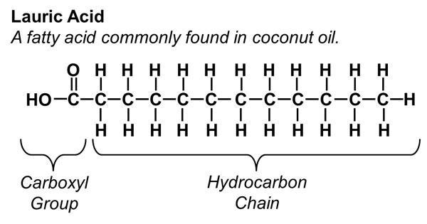 Identify monomers and describe the function for all macromolecules-example-1