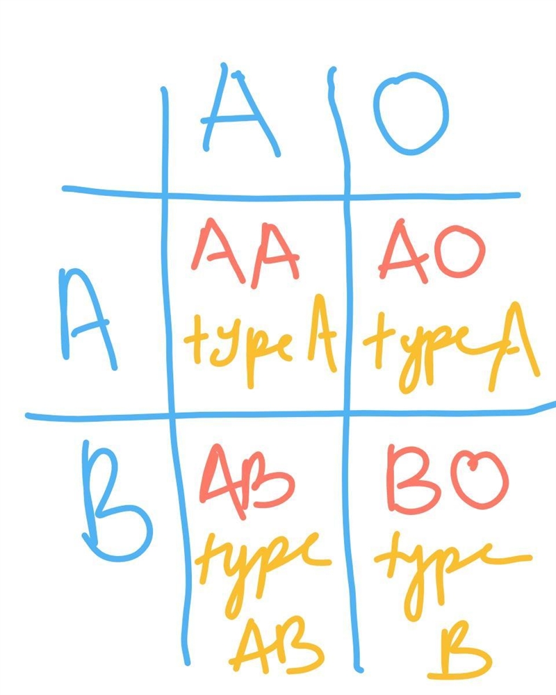 Which of the following blood types cannot be the result of fertilization between two-example-1