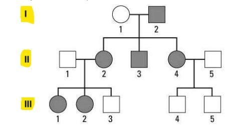 7. Wha 9. Marfan syndrome is an inherited condition that affects the connective tissue-example-1