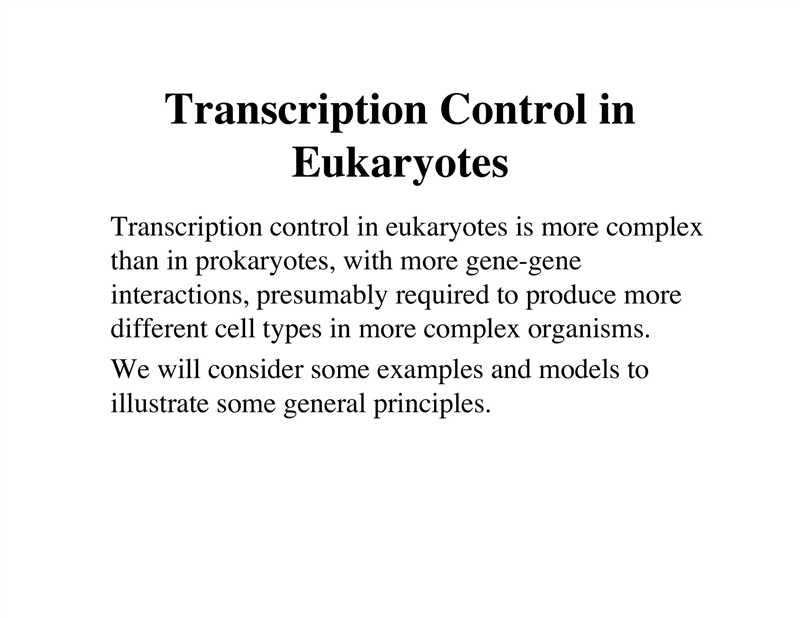 14. briefly outline why control of transcription is more complex in eukaryotes than-example-1