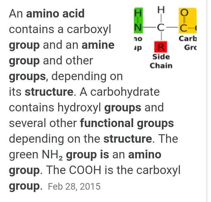 How many functional groups are present in structure of amino acids? a) 2 b) 3 c) 4 d-example-1