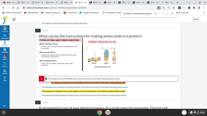 What carries the instructions for making amino acids in a protein-example-1