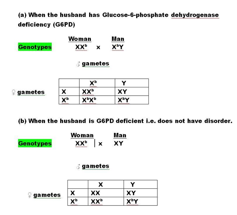 Glucose-6-phosphate dehydrogenase deficiency (G6PD) is inherited as an X-linked recessive-example-1