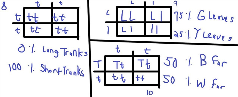 Please help i only need these!(No need to write the Punnett squares)-example-1