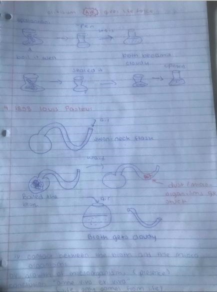 How were the designs Pasteur's and Redi's experiments different?-example-2