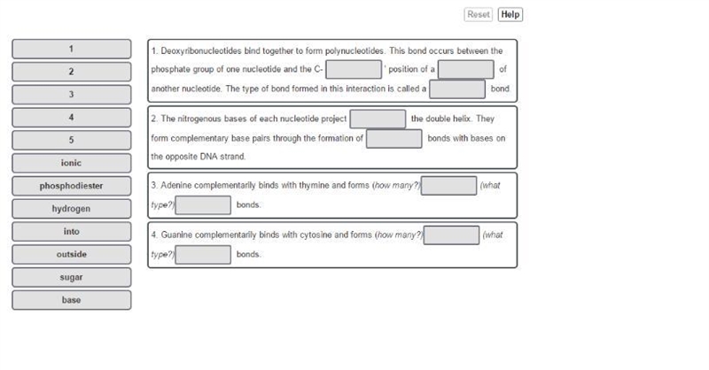 Now that you have identified the components of DNA, can you describe how these components-example-1