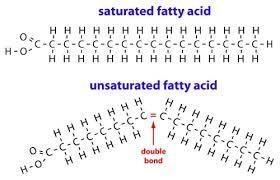 Differentiate betweenthe structures of saturated and unsaturated fatty acids withthe-example-2