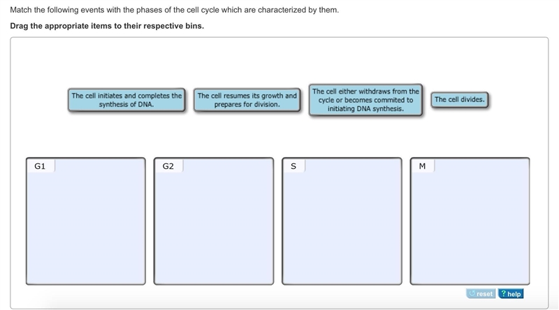 Contrast spermatogenesis and oogenesis. Part A Drag each description to the appropriate-example-1