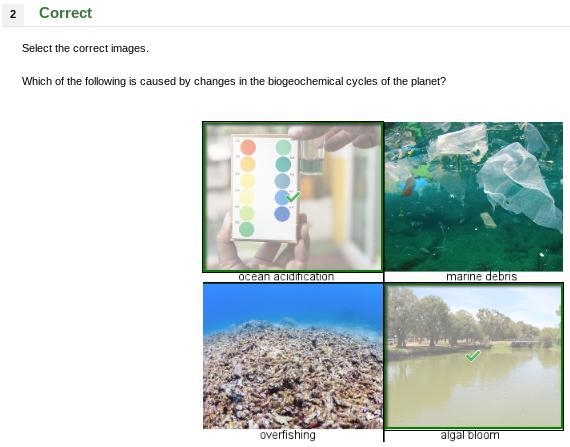 Which of the following is caused by changes in the biogeochemical cycles of the planet-example-1