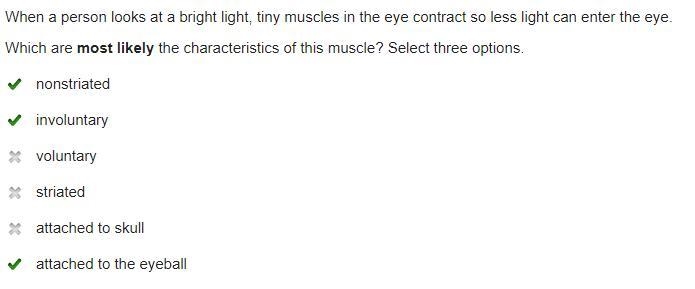 When a person looks at a bright light, tiny muscles in the eye contract so less light-example-1