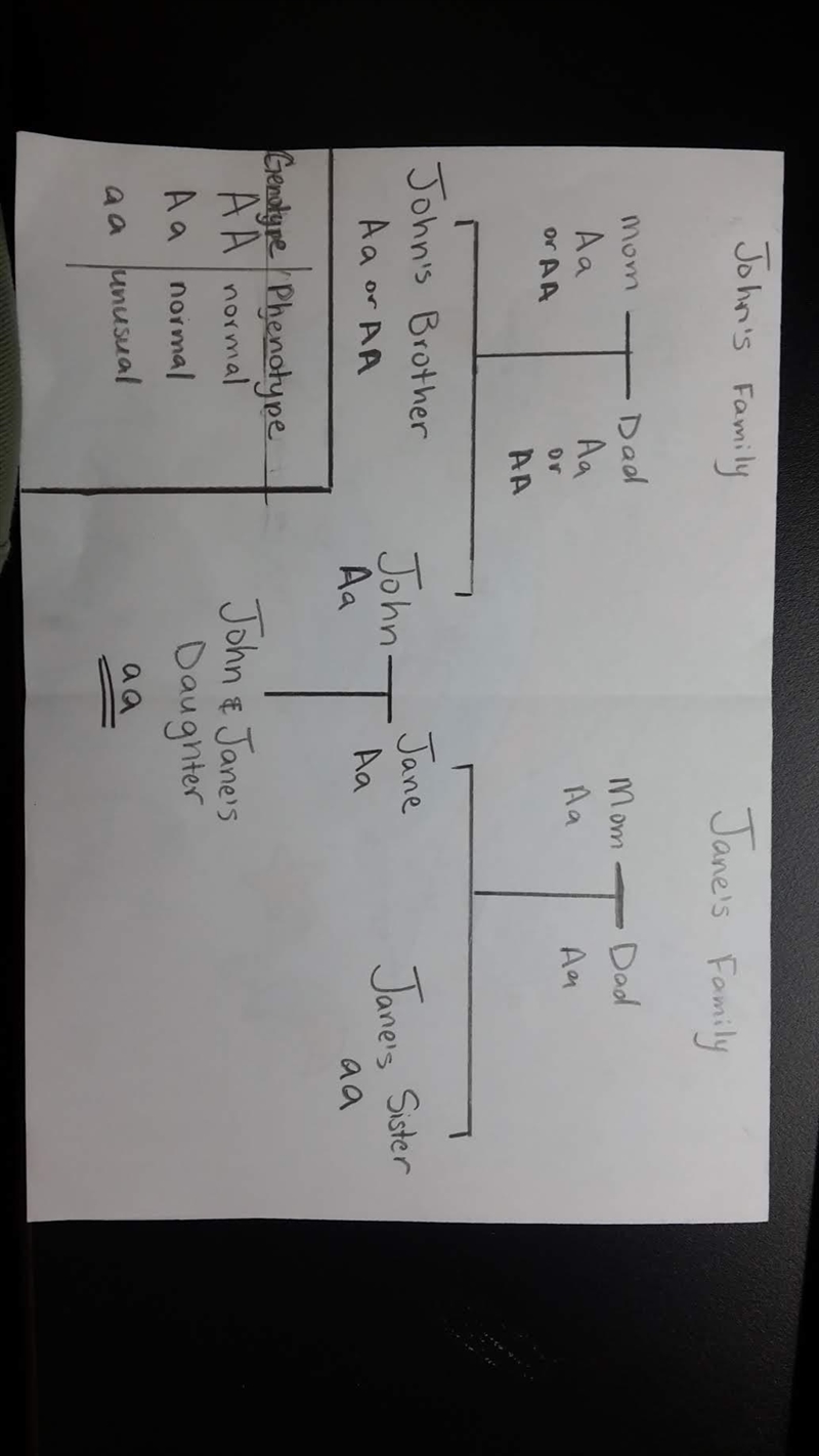 Assume that a particular unusual phenotype is caused by an autosomal recessive allele-example-1