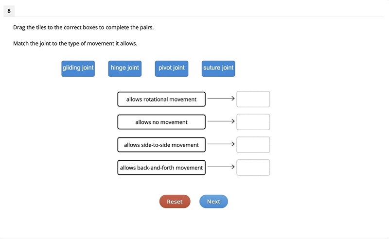 Drag the tiles to the correct boxes to complete the pairs. Match the joints to their-example-1