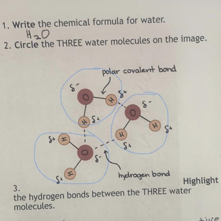 Circle the 3 water molecules on the image-example-1