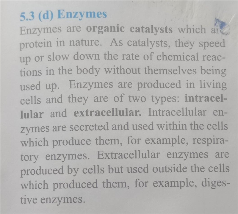 2. a protein that catalyzes (speeds up) a reaction without being changed by the? A-example-1