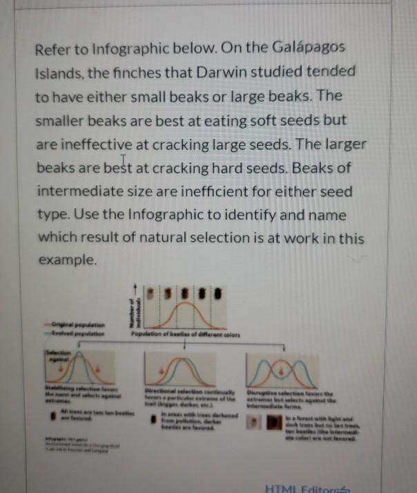 Refer to Infographic below. On the Galápagos Islands, the finches that Darwin studied-example-1