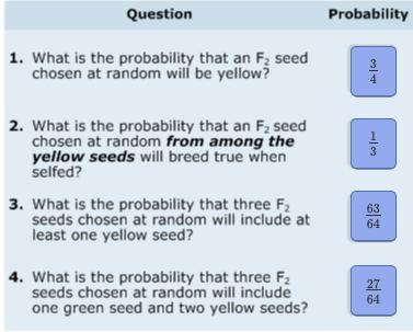 Use the completed Punnett square in Part B to answer the questions below about the-example-2