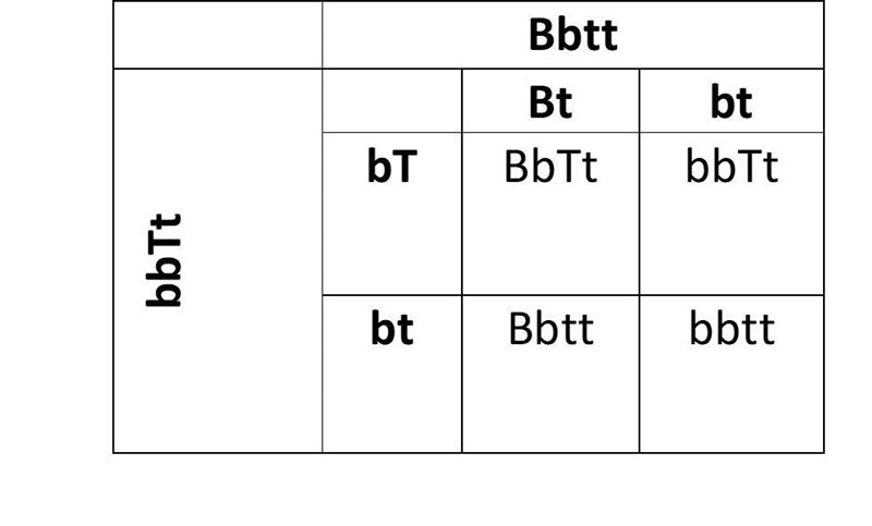 In horses, black is dominant to chestnut and trotting is dominant to pacing. A heterozygous-example-1