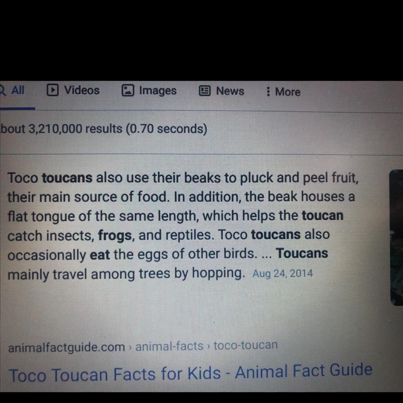 Does a toucan eat a frog ?-example-1