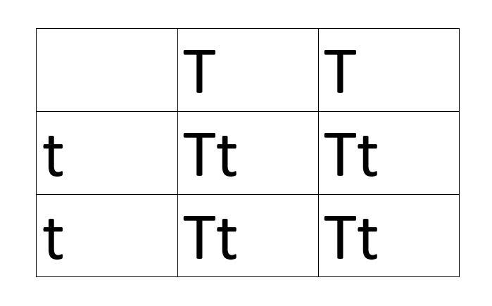 Tall is dominant to short among pea plants. Choose appropriate symbols for these two-example-1