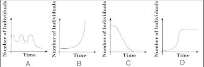 Which graph most likely shows an ecosystem that has undergone a primary succession-example-1