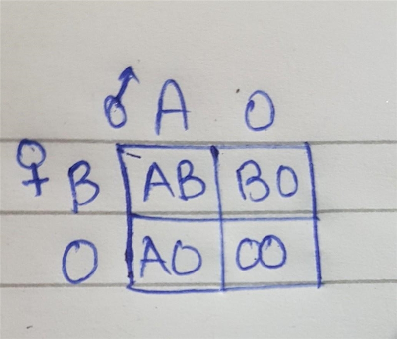 A man has blood group A and his wife has blood group B. Their first child has blood-example-1