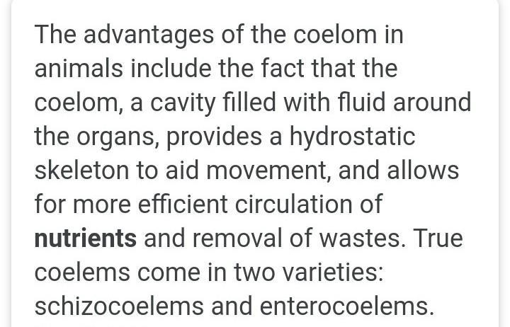 Give two advantages of a coelom-example-1