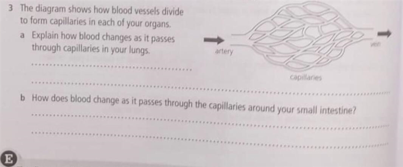 Please help me in biology asap, 20 points for answering thanksss-example-1